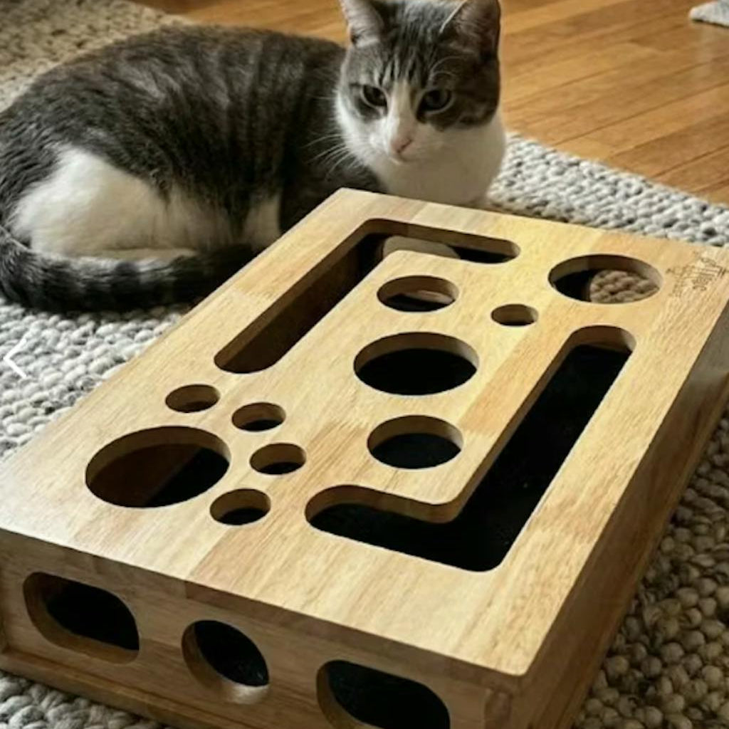 Kat zit naast een houten krabbox met verstopgaten op een vloerkleed