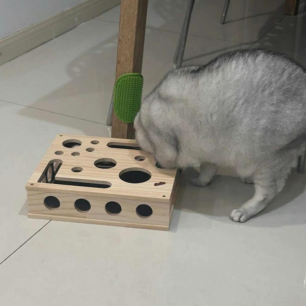 Grijze kat snuffelt aan de gaten van een houten krab- en foerageerbox op de vloer