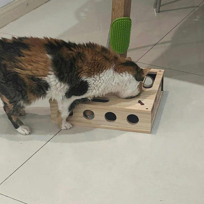 Kat zoekt met haar snuit naar een snack in een van de gaten van een houten foerageerbox