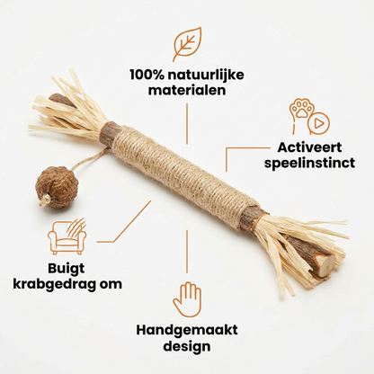 Silvervine Kauwstick voordelen overzicht